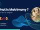 What is matrimony ? What is matrimony ?