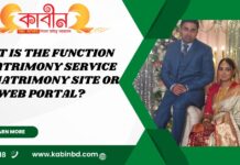 What is the function of matrimony service and matrimony site or web portal? What is the function of matrimony service and matrimony site or web portal?