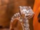How to Find a Genuine Bride or Groom Through KabinBD Find a Genuine Bride or Groom