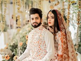 How Premium Matrimony Services Ensure Quality Matches